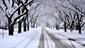 What The Snow Shows
